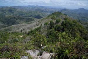 BIB: 
                            <button type="button" onclick="openModal(21896993)" class="btn btn-primary btn-sm float-right btn-popup" data-toggle="modal" data-target=".modal-high-quality">
                        <i class="fas fa-shopping-cart"></i> Add to Cart
                    </button>
                                            <button type="button" onclick="isThisMe(21896993, true)" class="btn btn-success btn-sm float-right btn-popup btn-isme hidden" data-toggle="tooltip" data-placement="bottom" title="นี่คือรูปของคุณใช่ไหม คลิกที่นี่เพื่อเอาเข้าอัลบั้ม">
                        <i class="fas fa-plus"></i> Add to album
                    </button>
                    <button type="button" onclick="isThisMe(21896993, false)" class="btn btn-warning btn-sm float-right btn-popup btn-isnotme hidden">
                        <i class="fas fa-ban"></i> Remove from album
                    </button>